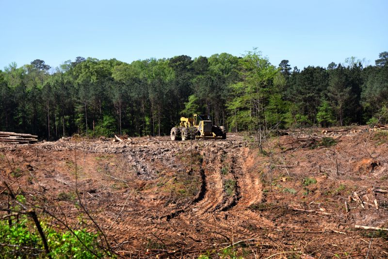Commercial Lot Clearing