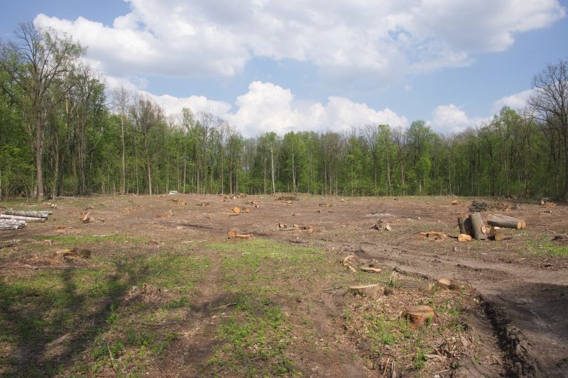 Acreage Clearing in Utah County, UT