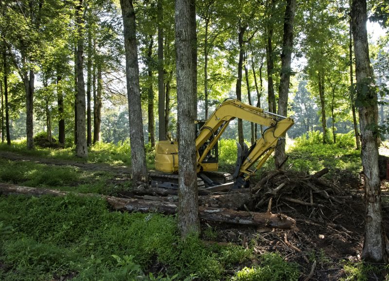 Brush Clearing Service in Houston, TX