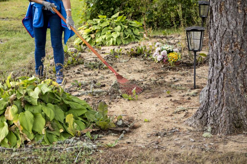 Who Does Commercial Lot Clearings