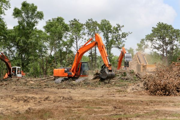 Building Site Clearing